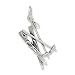 Snow Ski and Ski Poles Charm