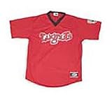 Lansing Lugnuts Minor League Baseball V Neck Adult Jersey
