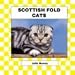 Scottish Fold Cats (Cats Set III)