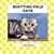 Scottish Fold Cats (Cats Set III)