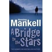 A Bridge to the Stars