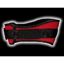 Blue Scheik Lumbar Belt -Model 2004 (4 3/4