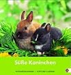 S�sse Kaninchen 2005. Postkartenkalender