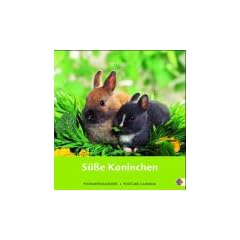 S�sse Kaninchen 2005. Postkartenkalender