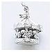 Jewelry : Carousel Charm