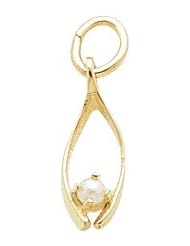 Rembrandt Charms Wishbone Charm
