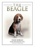 The Beagle