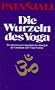 Die Wurzeln des Yoga