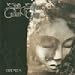 Silent Stream Of Godless Elegy-Themes