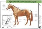 Lage erkennbarer Veraenderungen, Lehrtafel