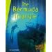 The Bermuda Triangle (The Unexplained)