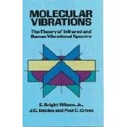 Molecular Vibrations: The Theory of Infrared and Raman Vibrational Spectra (Taschenbuch)