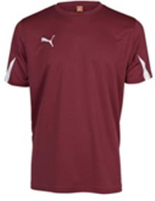 PUMA Herren T-Shirt, Team Burgundy-White, M, 701269 09