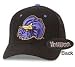 Delaware Fightin Blue Hens Fitted Zephyr Logo Cap (7)