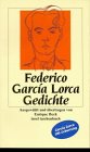 Gedichte (insel taschenbuch) - Federico Garc&iacute;a Lorca