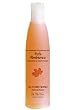 Autumn Forest Shampoo & Body Wash - 16 oz.