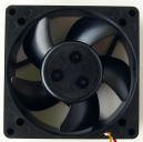 SNE GERMAN9-13DB {9cmP[Xt@ GERMAN9-13DB