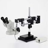 �J�[�g�� ���̌����� �u�[���X�^���h NSW-2DB-F 20�{