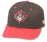 Minor League Baseball Cap - Ottawa Lynx Batting Practice Cap by New Era