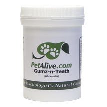 GUMZ-N-TEETH for Healthy Pet Gums and Teeth by 