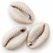 Shell Beads, Hair Accessories