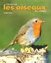 Observer les oiseaux du jardin