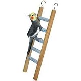Ladder with Wooden Frame for Small Birds - 5 Step
