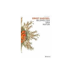 Ernst Haeckel: Bildwelten der Natur