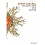 Ernst Haeckel: Bildwelten der Natur