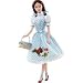 Barbie Collector Wizard of Oz Vintage Dorothy Doll