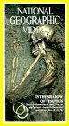 National Geographic: In the Shadow of Vesuvius [VHS]