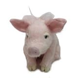 子ぶたのぬいぐるみ Woogie ウギ（ピンク）＜ｃｕｄｄｌｙ ノーサイド 日本＞　