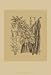 Orchid on Khaki(WG) III, Art Poster by Samuel Curtis