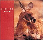 カンガルー時間