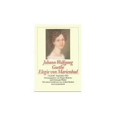 Elegie von Marienbad: Urschrift. September 1823 (insel taschenbuch)