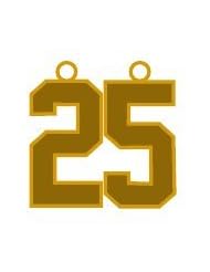 Number 25 Jersey Style Sports Necklace Charm Pendant #25 (0.8" Tall - Standard Size) GOLD PLATED Perfect For: Football, Baseball, Basketball, Soccer, Hockey, Softball, Volleyball, Lacrosse & More