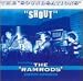 Search : Shout