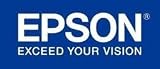 Epson projector lamp unit ( V13H010L31 )