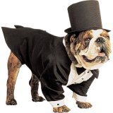 Casual Canine Tux w/Tails & Top Hat Xlg 24 In