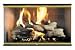 Z-Track Fireplace Glass Door-up to 36 x 24