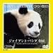 ジャイアント・パンダ 中国