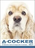 THE DOG Notecard Vol. 1 - American Cocker Spaniel