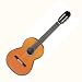 JR-I inc. Case M. Rodriguez Jr. Pro India Guitar