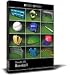 DOSCH 3D: Baseball