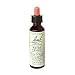 Bach Essence Violet 20 Milliliters