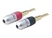 Electronics : Belkin PureAV AV54004  Do-It-Yourself Gold Banana Plugs, 4-Pack
