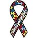 Large Autism Awareness Magnet 4"x 8"