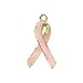 Vermeil 22K Gold on Sterling Silver Pink Breast Cancer Ribbon Charm