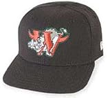Minor League Baseball Cap - Winston Salem Warthogs Home Cap by New Era
