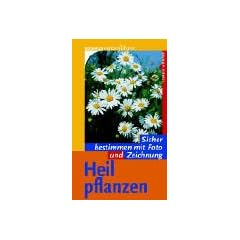 Heilpflanzen: Sicher bestimmen mit Foto und Zeichnung